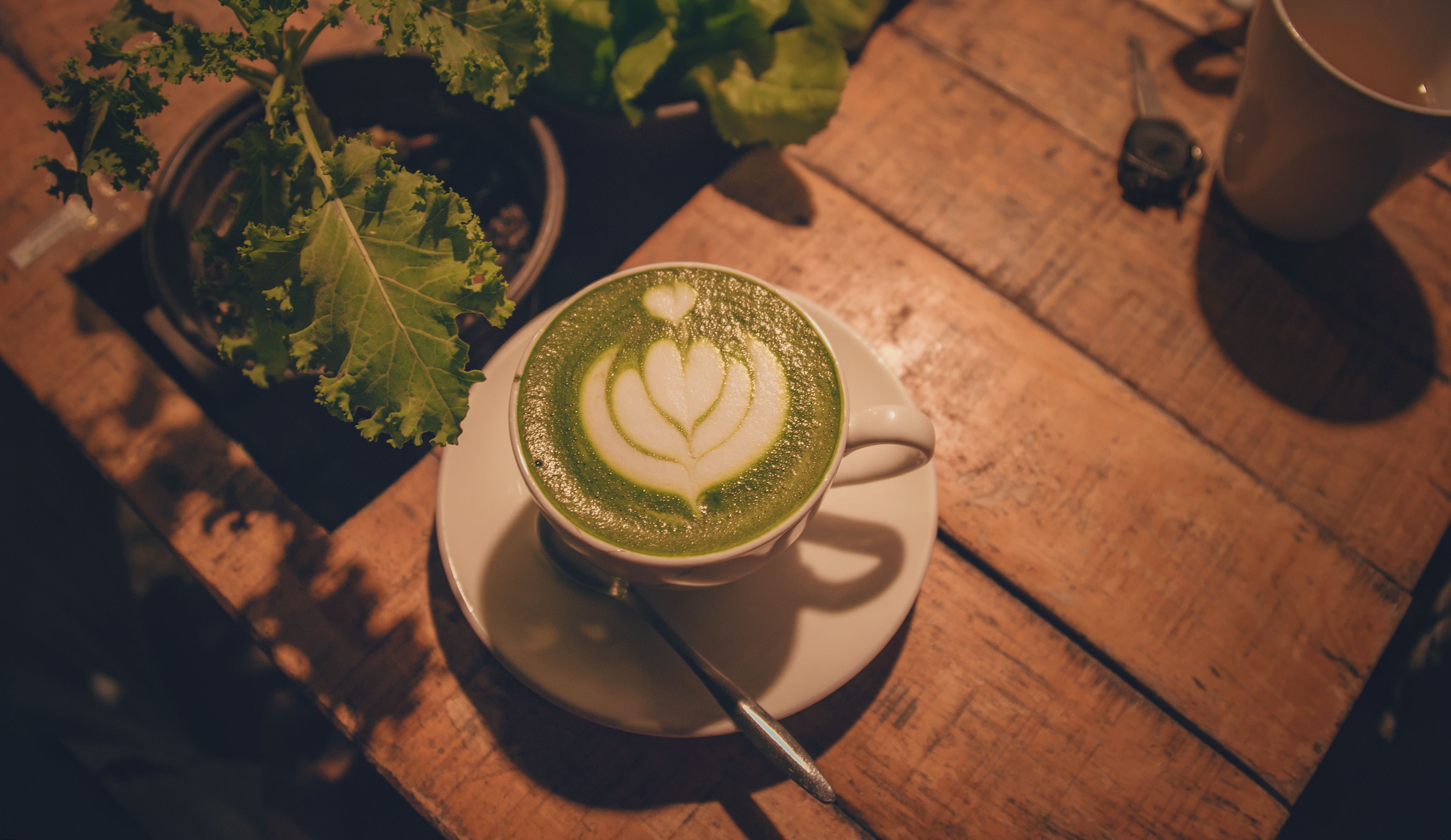 Vanilla Matcha