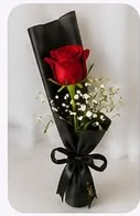 1 Red Rose