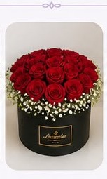 Rose Box (25 Roses)